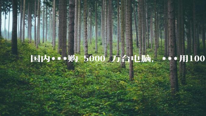 国内***购 5000 万台电脑，***用100％ 国产芯和操作系统，意味着什么？