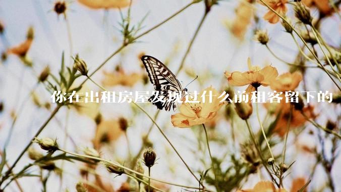 你在出租房屋发现过什么前租客留下的“宝藏”？